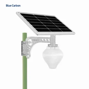 illumination Solar Peach Light