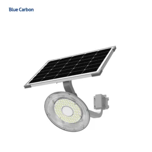 2025 New Arrival Ip65 Waterproof Aluminum 60w 100w 200w 300w LED Solar Garden Light